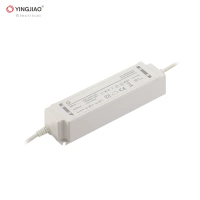 Fábrica delgada impermeable del OEM de China del conductor de la fuente de alimentación de 60W 12V DC LED